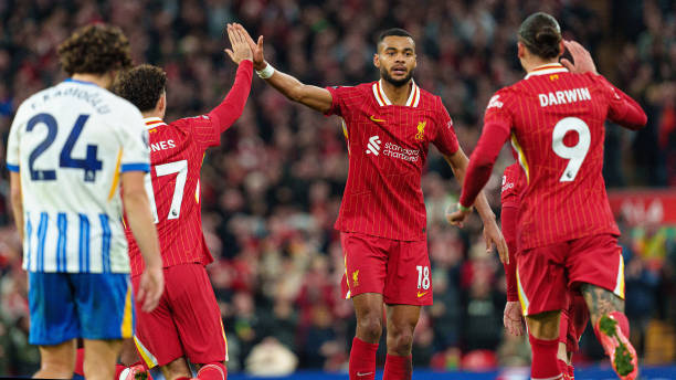 和教练对他 和教练对他