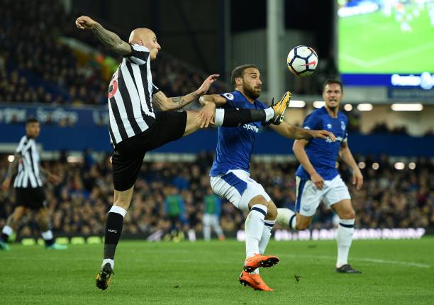 这不仅是对 这不仅是对