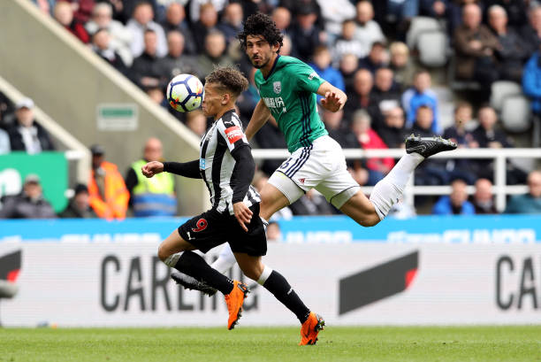 观众们总是 观众们总是