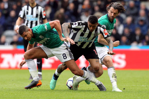 这一大胆举 这一大胆举